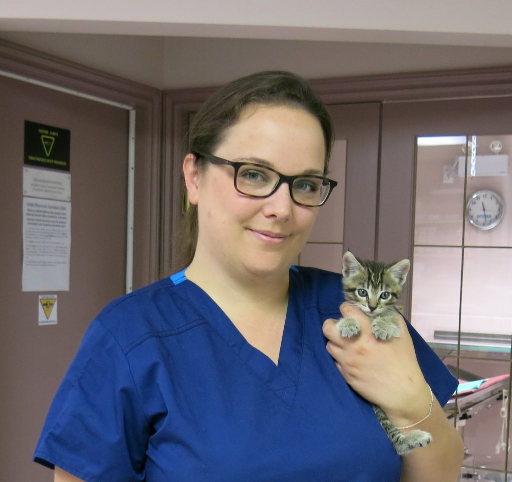 Our Team Little Mountain Veterinary Clinic